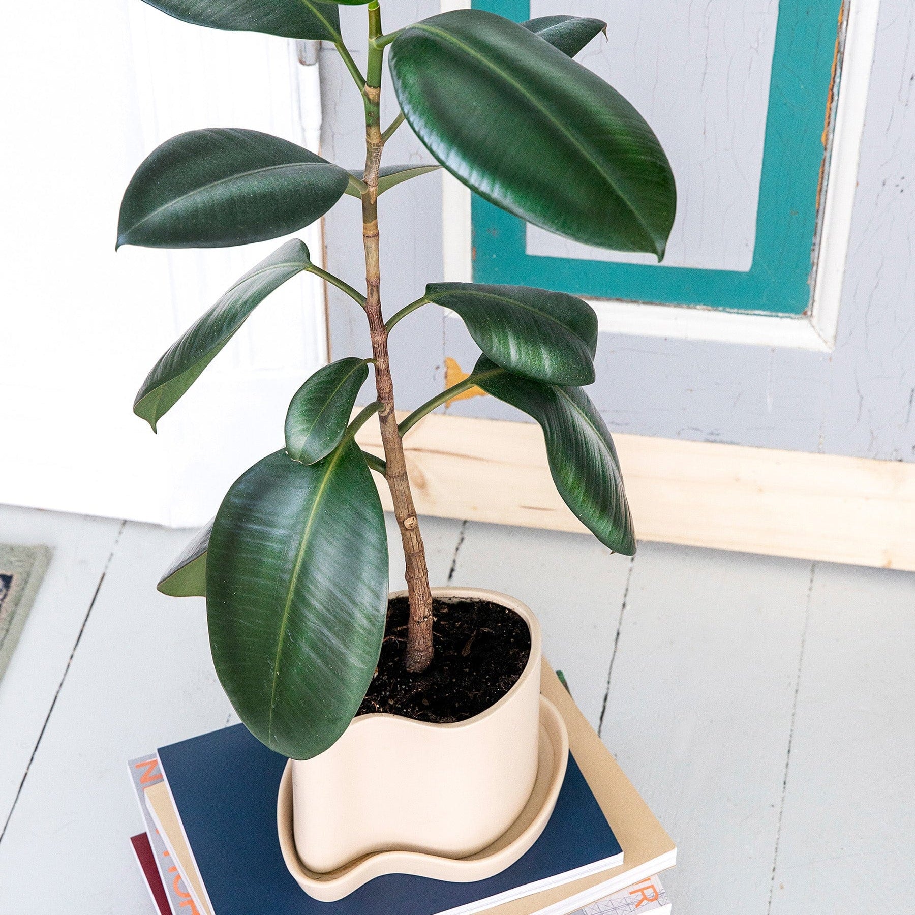 Maritimer Blumentopf aus sandfarbener Keramik