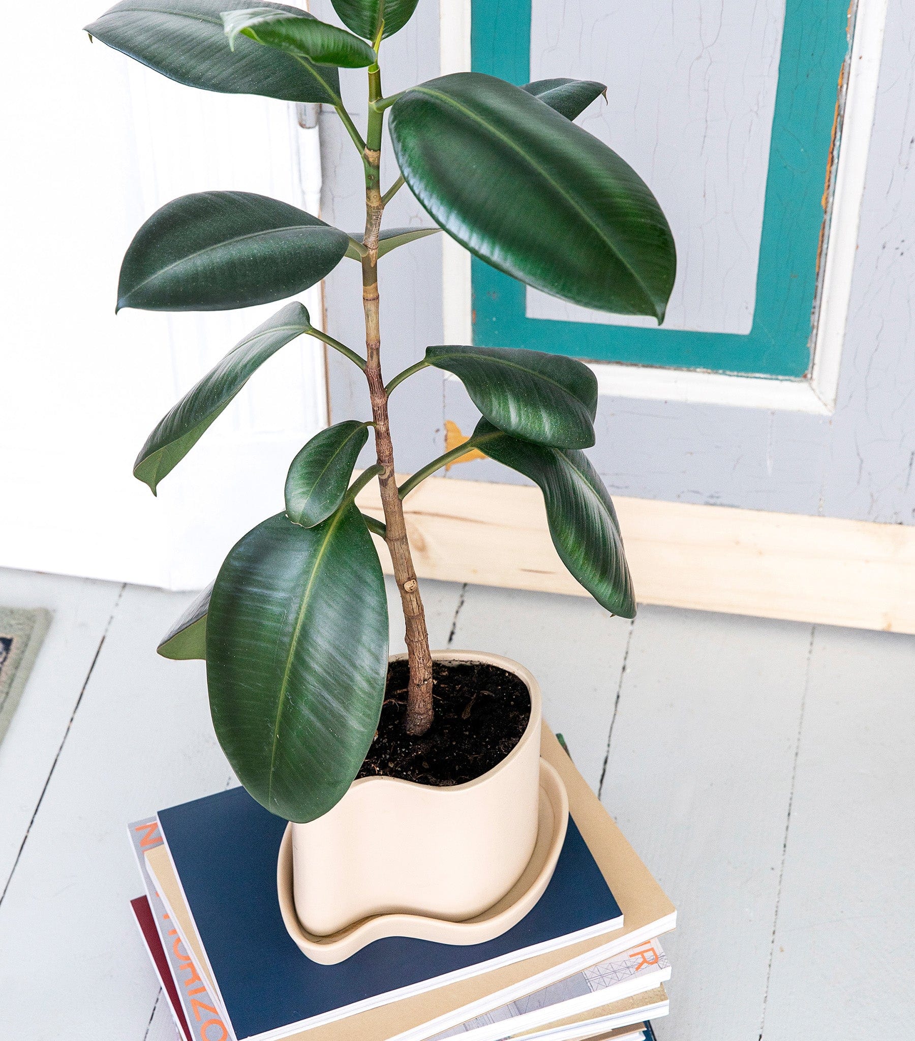 Maritimer Blumentopf aus sandfarbener Keramik